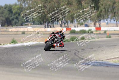 media/Sep-07-2025-Pacific Track Time (Sun) [[a6322260b9]]/C Group/Wheelie Bump/